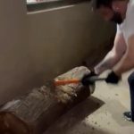 Sanjay Dutt Instagram – Getting back to basics, raw workouts! Cutting wood is one of the best forms of working out, works out the full upper body, had a good work out, have to keep going, try this out, you will love it 💪🏻
#DuttsTheWay