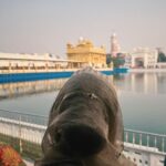 Sanya Malhotra Instagram - Amritsar ✨ 7 days to go ✨ #SamBahadur