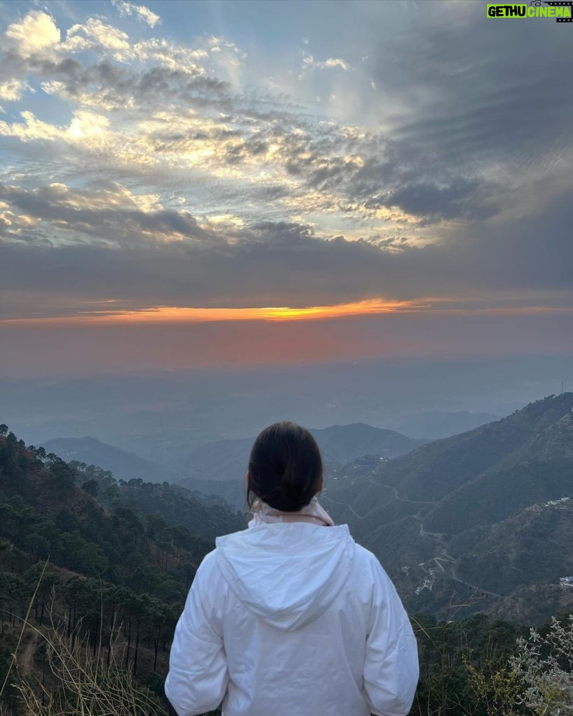 Sara Ali Khan Instagram - Oh Pine 🌲 Will you be mine? 🥰 In nature you’re closest to the divine ☮ Sometimes sunkissed sometimes under moonshine 🌝