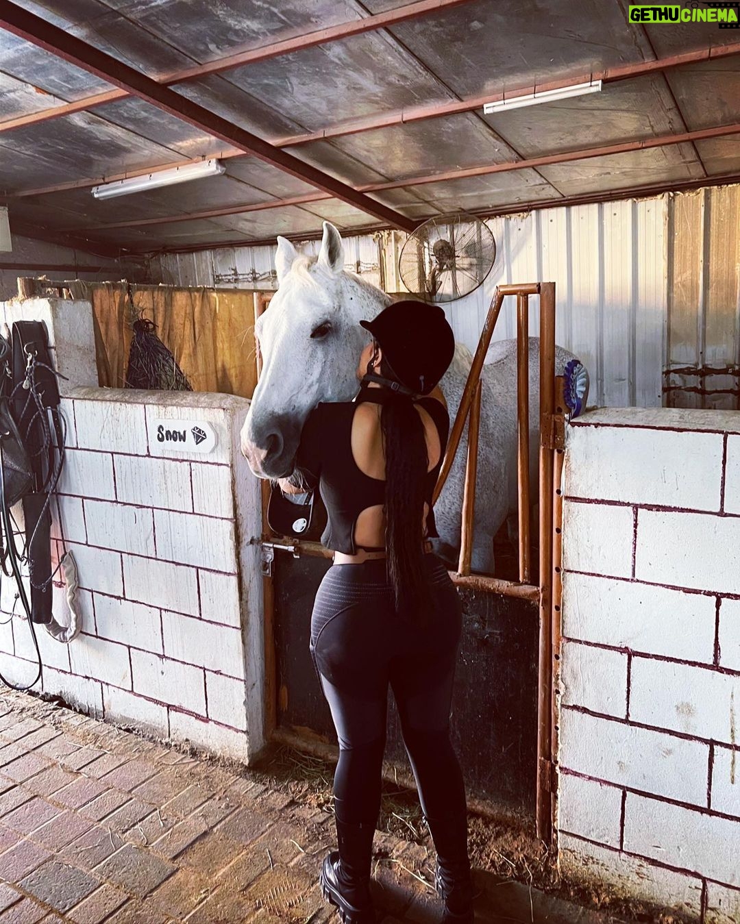 Sarah Fraisou Instagram - 🐴Une relation et le cheval c’est le meme topo ... une histoire de confiance et de consentement entre deux êtres ♥️ #pictureoftheday #loveanimals #horse #life #goodmoments #positivevibes #love Dubai, United Arab Emiratesدبي