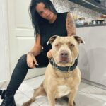 Sarah Fraisou Instagram - La fidélité , la loyauté,la reconnaissance,l’amour et la protection d’un chien a sont maître Et deux fois plus fiable que d’un être humain a un autre être humain 💋💋💋 le meilleur amies de l’homme jaime trop mon fils ❤️ #dog #life #pictureoftheday #mood Bondy
