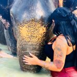 Sarah Fraisou Instagram – 🐘“Les éléphants, comme les femmes, n’oublient jamais une blessure’’ #thailande #sun #picoftheday #2019 #elephant #life #animals Green Elephant Sanctuary Park Phuket