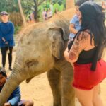 Sarah Fraisou Instagram – 🥰My love my Life #love #familygoals #family #elephant #thailand #sun #holidays #picoftheday