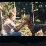 Sarah Geronimo Instagram - Join us in the fight against the dog meat trade! Together, we can make a difference and put an end to animal cruelty. Full video of @justsarahgph's advocacy available on her youtube channel. #StopDogMeatTrade #EndAnimalCruelty #CompassionForAll