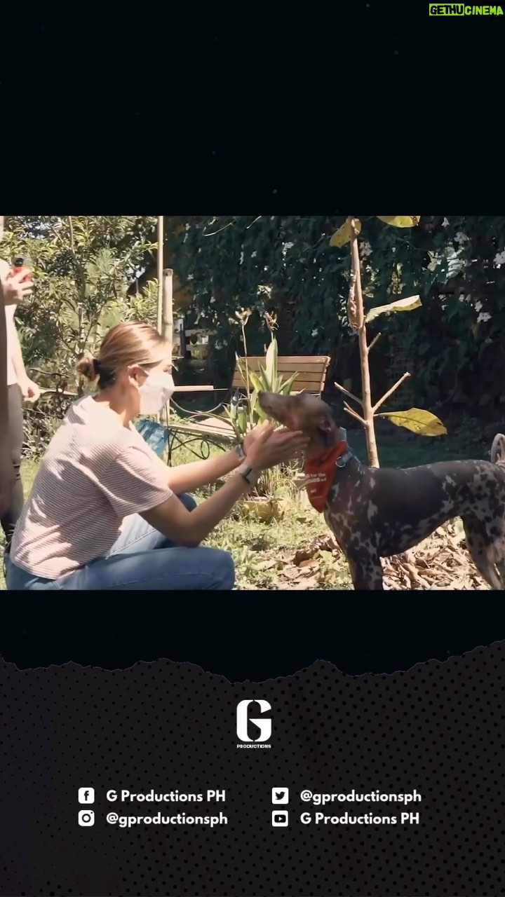 Sarah Geronimo Instagram - Join us in the fight against the dog meat trade! Together, we can make a difference and put an end to animal cruelty. Full video of @justsarahgph's advocacy available on her youtube channel. #StopDogMeatTrade #EndAnimalCruelty #CompassionForAll