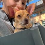 Sarah Jeffery Instagram - everyone meet ✨DORY✨ 🥹 I met Dory in Mexico thru the incredible @wetnosesrescue in Punta Mita and was immediately obsessed. Everyone at Wet Noses Rescue are so passionate about the work they do and the lives they save and I can’t thank them enough for bringing this little angel into my life and getting her to me! Will also be calling her Dobby girl bc the EARS 😭 Little nervous about introducing her to my sweetest baby first child Monty, but I have high hopes. Lmk if you have any suggestions for the first meeting 😂 xx #adoptdontshop