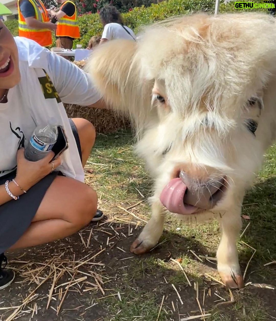 Sarah Jeffery Instagram - 1. caffeinated in OC 2. iconic fits 3. depresso espresso 4. see three 5. mocktails n cocktails with @nick_barasch 6. Disney pickle supremacy 7. 🐮👅
