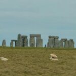 Sarah Jeffery Instagram - peaceful and fuzzy 🐑 England, UK