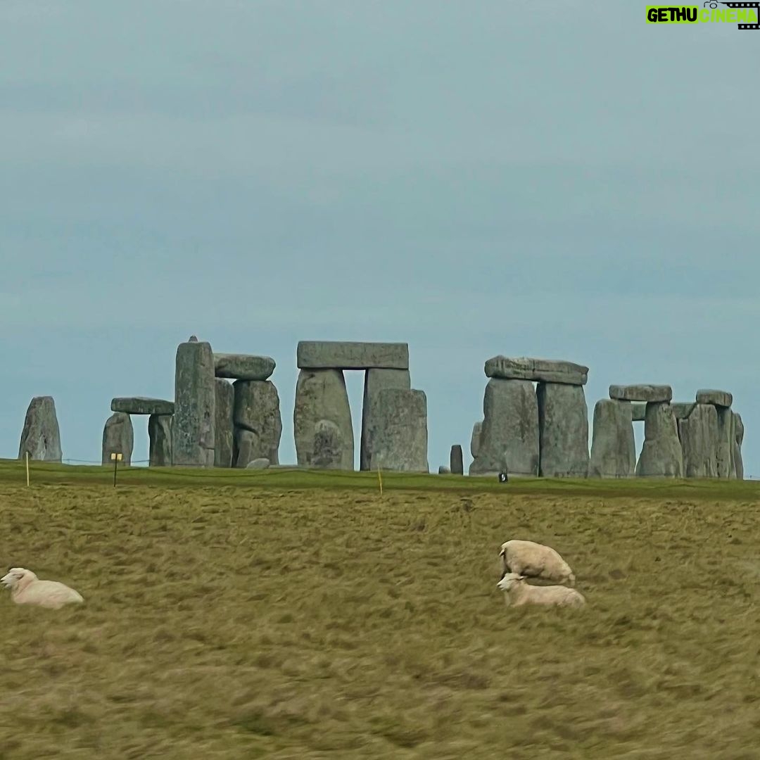 Sarah Jeffery Instagram - peaceful and fuzzy 🐑 England, UK