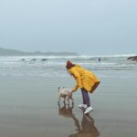 Sarah Jeffery Instagram - dog mom activated @pacificsands Pacific Sands Beach Resort