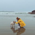 Sarah Jeffery Instagram - dog mom activated @pacificsands Pacific Sands Beach Resort