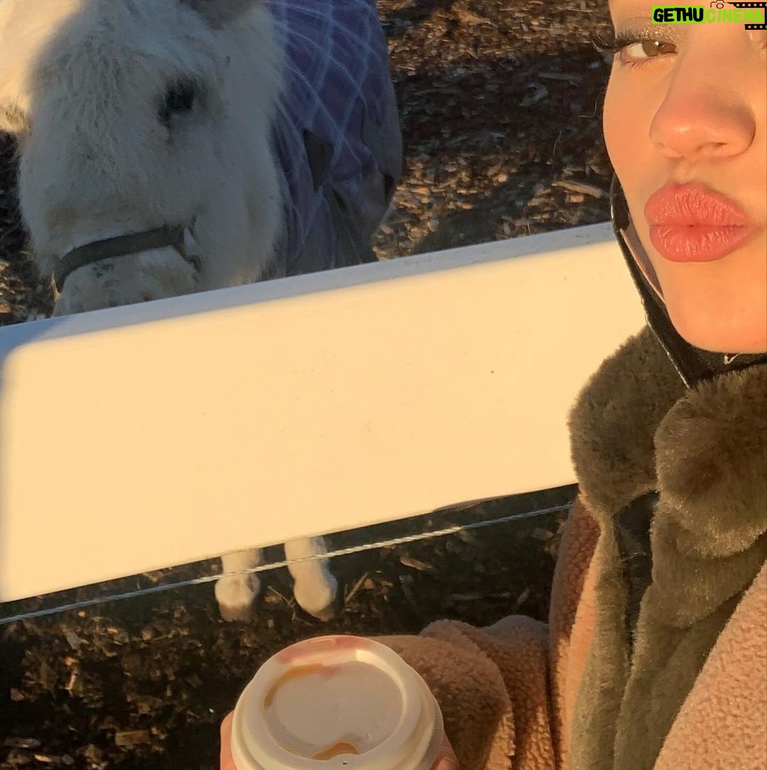 Sarah Jeffery Instagram - horsing around