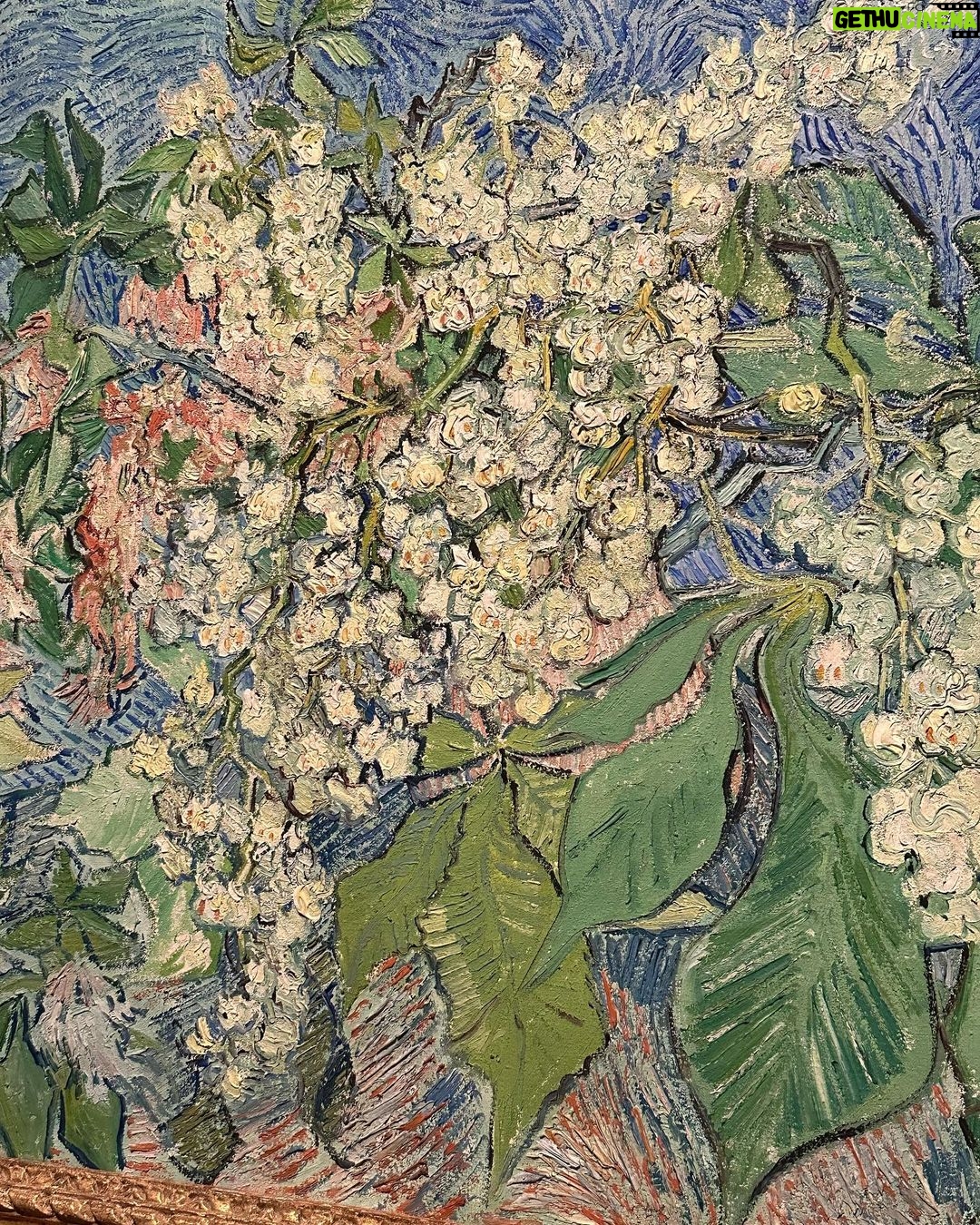Sarah Jessica Parker Instagram - Amsterdam Thank you for sharing your art. Your food. Your trams. Your metro. Your energy. Your vintage clothing stores. And a bounty of hospitality. To all @vangoghmuseum For this, our 2nd visit in 2 days, we thank you. We will remember forever. X, SJ