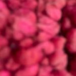 Sarah Jessica Parker Instagram - September 1st, 2022 Rabbit rabbit. X, SJ