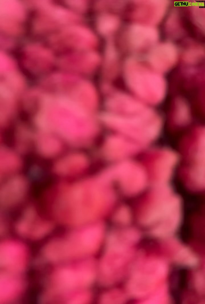 Sarah Jessica Parker Instagram - September 1st, 2022 Rabbit rabbit. X, SJ