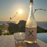 Sarah Jessica Parker Instagram - It’s a rosè summer and our @invivoxsjp blend has been a trusted and much welcome holiday travel companion. It’s always touching to hear how much you all love our Invivo X, SJP wines, and it was a real delight to read that @delish has crowned our rosè their recent #1 favorite. To say we’re honored would be a massive understatement. Visit invivoxsjp.com to find a retailer near you or follow @invivoxsjp to find out more about the wines. Hoping this finds you all safe and healthy, SJ X