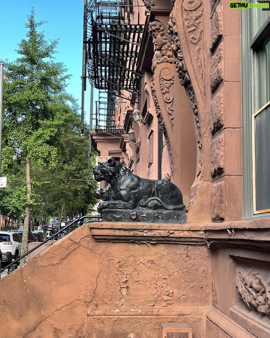 Sarah Jessica Parker Instagram - There’s always something to see. Or notice. Or admire. Again. NYC. X, SJ