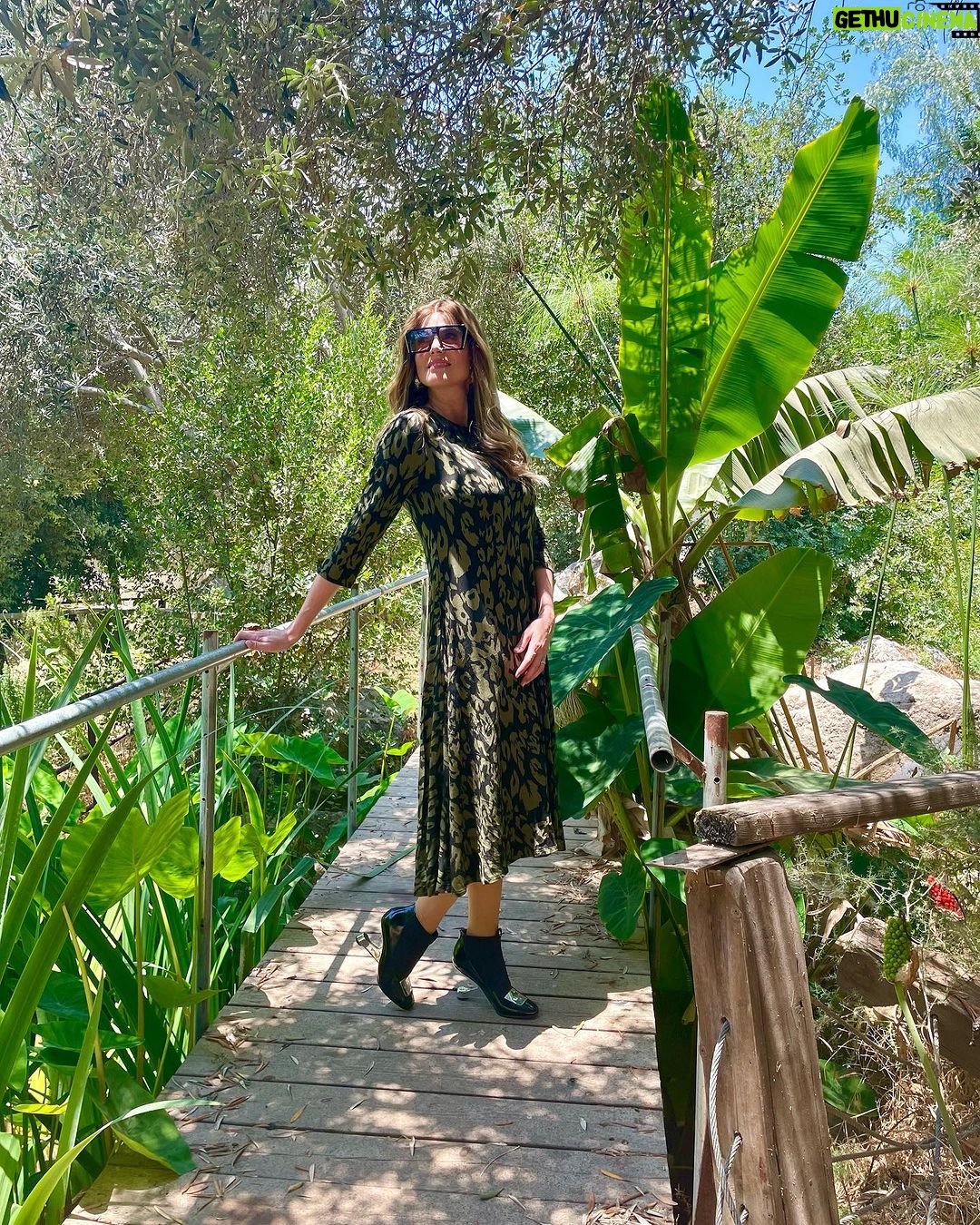 Sarah Mintz Instagram - Cuando cumplimos una mitzva (precepto), el órgano que usamos para cumplirla se transforma en un vehículo para la Voluntad Divina. . #tzniut Gracias por ayudarme y ayudar a muchas mujeres a cumplir esta mitzva @chevi_montag_wigs