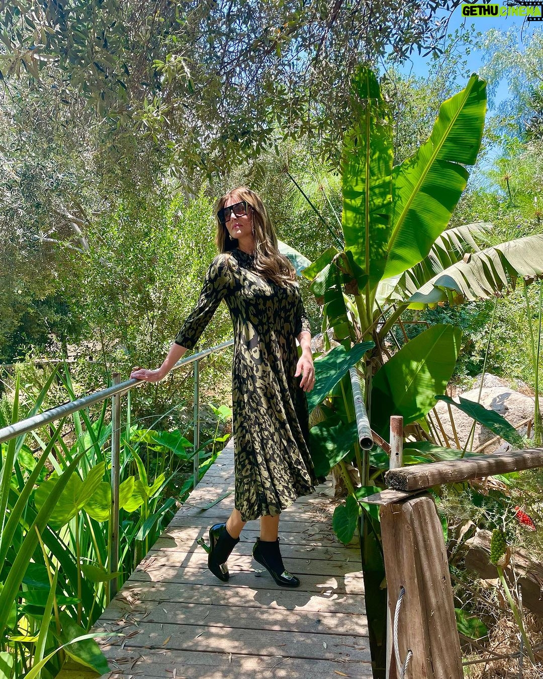 Sarah Mintz Instagram - Cuando cumplimos una mitzva (precepto), el órgano que usamos para cumplirla se transforma en un vehículo para la Voluntad Divina. . #tzniut Gracias por ayudarme y ayudar a muchas mujeres a cumplir esta mitzva @chevi_montag_wigs