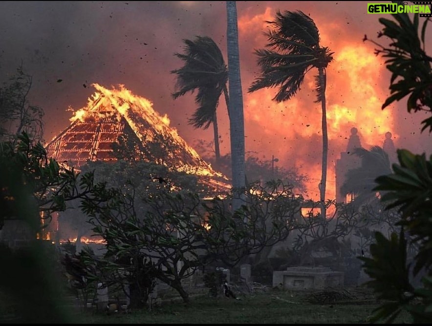 Sarah Wayne Callies Instagram - my beloved home state on fire. @mauirapidresponse is working to organize kokua (help). if you’re looking to get involved, check them out - and mahalo. hearts are breaking all over the ‘aina. #mauifire #lahaina #mutualaid
