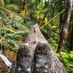 Sarah Wayne Callies Instagram - bear tracking 🐻 paw prints 🐻 mama & cubs 🐻 salmon roe 🐻 doug fir magic