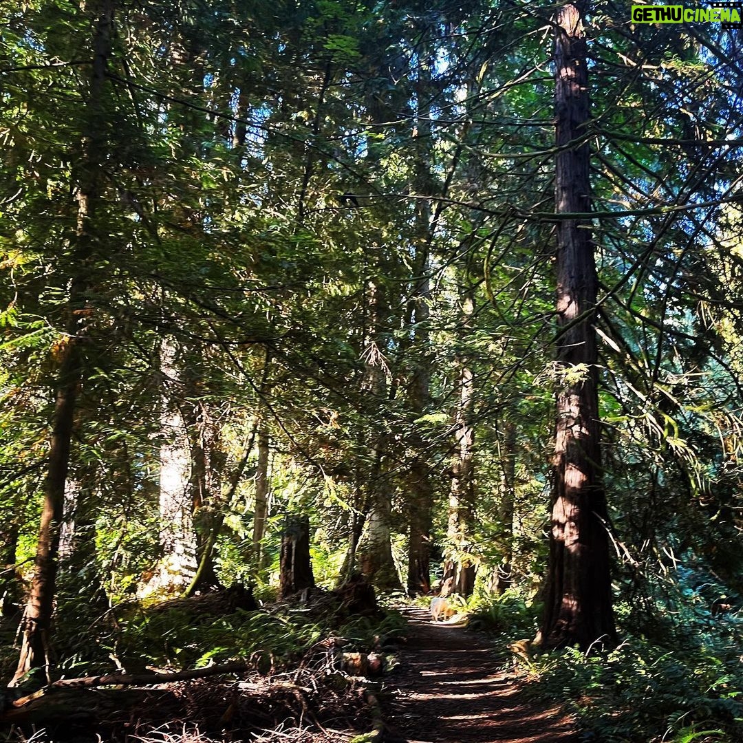 Sarah Wayne Callies Instagram - itโs october & the salmon are coming home ๐