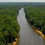 Sarah Wayne Callies Instagram - 1.5 million North Carolina residents have been exposed to toxic PFAS ‘Forever Chemicals’ in their drinking water. And @epagov is not protecting them.   The @centerforenvironmentalhealth, @cleancapefear, @capefearriverwatch, and @toxicfreenc formally petitioned the U.S. EPA to force Chemours - the DuPont spinoff company that has released #PFAS chemicals into the Cape Fear River and surrounding drinking water aquifers - to pay for health studies on 54 different PFAS chemicals released to the environment, including several found in the river, the source of drinking water for nearly a half million residents, and private drinking water wells.   But EPA denied the petition and, the groups are challenging this decision in court.   While residents of the Cape Fear region continue to lose friends and family due to rare forms of cancer and other diseases linked to PFAS, struggle to pay growing medical bills, and fight for clean drinking water at home and in schools, Chemours seeks to grow its profits by expanding its operations and the EPA refuses to use its authority under the Toxic Substances Control Act (TSCA) to hold a known polluter accountable for critical testing on the health impacts of its chemicals.   This is environmental injustice in action - and it has to stop.   President Joe Biden (@potus) and EPA Administrator Michael Regan (@epamichaelregan) have committed to acting on PFAS. This would be an opportunity for them to turn their words into actions.   Sign the petition, and tell EPA to protect people - not polluters.    Watch the full version: link in bio! • • • • • #CapeFearCourage #PFAS #foreverchemicals #environmentaljustice #newvideo #dogood #getinvolved #jointhefight @peakplastic