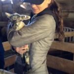 Sarah Wayne Callies Instagram - 🐑 🐑 🐑 get friends who farm. lambing season is rad. 🐑 🐑 🐑
