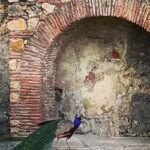 Sarah Wayne Callies Instagram - lisbon 💋 🏰 🦚