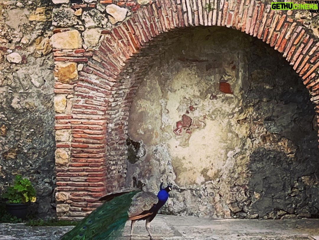 Sarah Wayne Callies Instagram - lisbon 💋 🏰 🦚