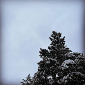 Sarah Wayne Callies Instagram - ❄️ snow day ❄️