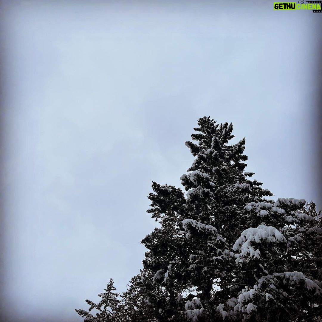 Sarah Wayne Callies - 46.8K Likes - ❄️ snow day ❄️