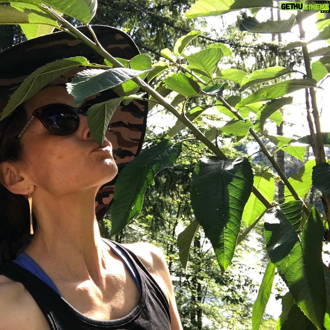 Sarah Wayne Callies Instagram - whenβs the best time to plant a tree? 20 years ago ππ³ the second best time? today ππ³ with π2 @getlomi for the magic soil #growfood