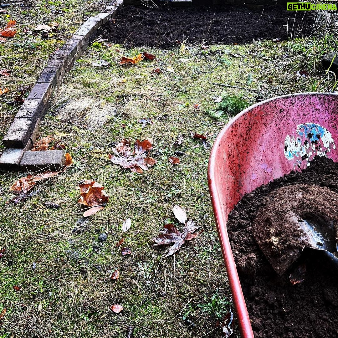 Sarah Wayne Callies - 34.4K Likes - my berries took over the garden this summer & i needed a new spot for garlic 🧄 #growfood #getdirty 🧄