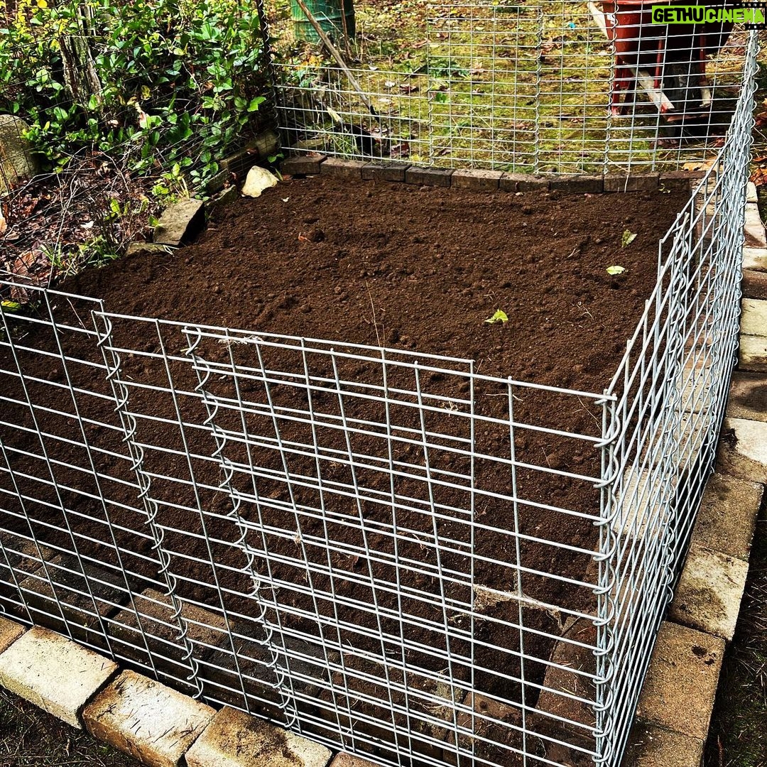 Sarah Wayne Callies - 34.4K Likes - my berries took over the garden this summer & i needed a new spot for garlic 🧄 #growfood #getdirty 🧄