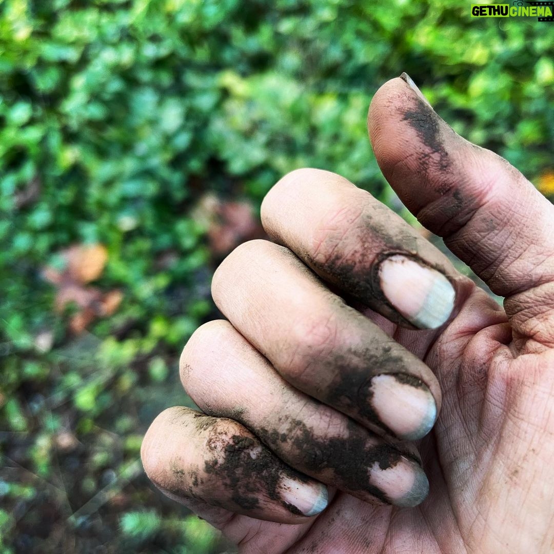 Sarah Wayne Callies - 34.4K Likes - my berries took over the garden this summer & i needed a new spot for garlic 🧄 #growfood #getdirty 🧄