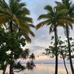 Sarah Wayne Callies Instagram – meanwhile, in Tahiti 🐢 🦈 🏝