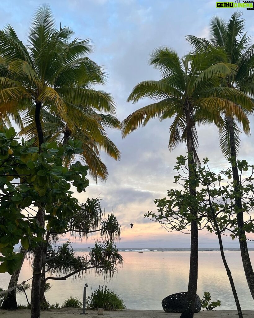 Sarah Wayne Callies Instagram - meanwhile, in Tahiti 🐢 🦈 🏝