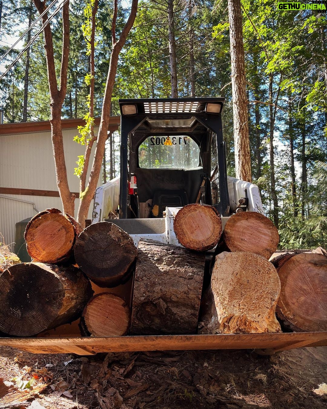 Sarah Wayne Callies Instagram - caption it: . a) she finds her light in heavy machinery b) cougar in a bobcat c) never tell your husband you’re bored d) ? . #yesitsmybobcat #woodstovelife #winteriscoming #makeupfreeweekend