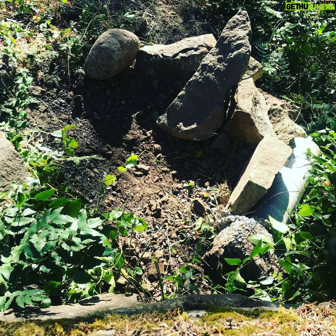 Sarah Wayne Callies Instagram - whenβs the best time to plant a tree? 20 years ago ππ³ the second best time? today ππ³ with π2 @getlomi for the magic soil #growfood