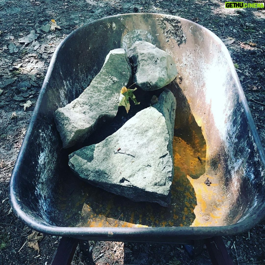Sarah Wayne Callies Instagram - whenβs the best time to plant a tree? 20 years ago ππ³ the second best time? today ππ³ with π2 @getlomi for the magic soil #growfood