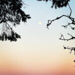 Sarah Wayne Callies Instagram - caught the moonrise earlier this week. sending y’all peace and love.