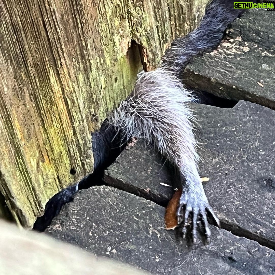 Sarah Wayne Callies Instagram - my son took it. caption it? #spookyseason