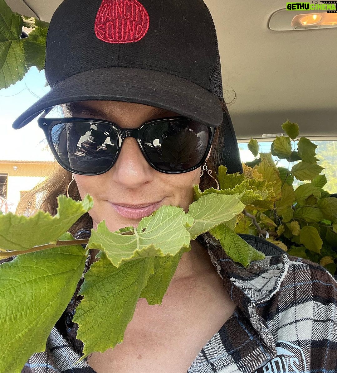 Sarah Wayne Callies Instagram - left unsupervised in a garden center. planting hazelnuts this afternoon 🌰
