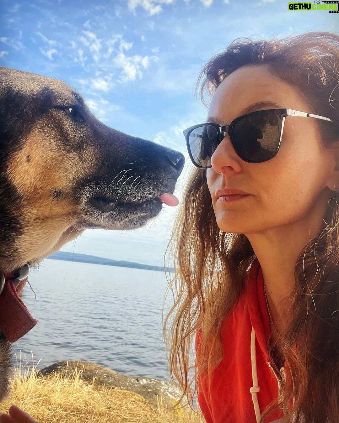 Sarah Wayne Callies Instagram - caption it?