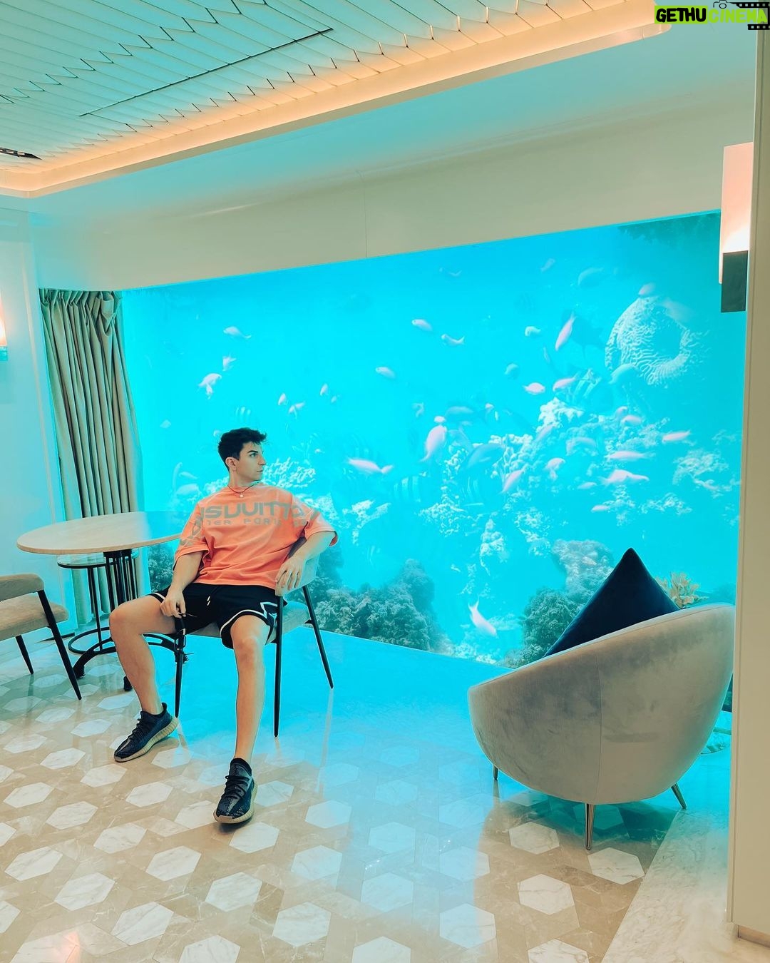 Sascha Burci Instagram - Oggi ho visitato la prima Villa Galleggiante al 🌏 e il palazzo della famiglia Reale! Tutto situato nell’arcipelago “The World Island” difronte a Dubai. Posso direi di essere stato miliardario per un giorno! 🎥 È uscito il video dell’esperienza su YT, link in Bio 🎥 Dubai - دبى