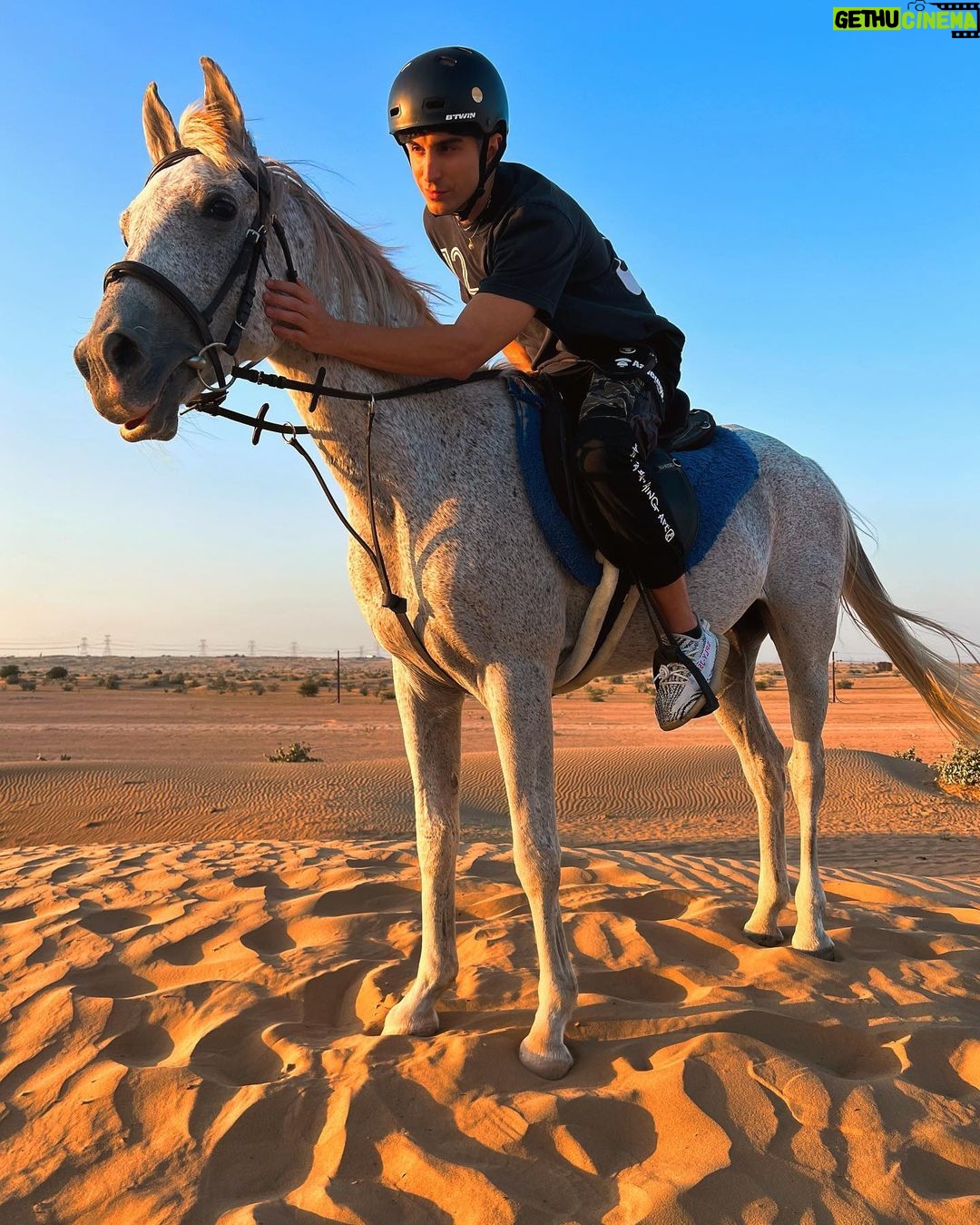Sascha Burci Instagram - ⬇️GUARDA il mio carosello pazzerello a Dubai 🇦🇪: 1. Io con la mia Gang 👊🏻 2. Io che consolo un cavallo dopo che gli ho detto che tanto tempo fa mangiavo i suoi simili.. 3. Foto di Famiglia 💖 4. Un gattone troppo affettuoso. 5. Il primo selfie risale a 200.000 anni fa, guarda! 6. Quando mi sveglio Van Gogh 🎨 7. La mia prima “””opera d’arte””” 8. La mia ombra è più bella di me. 9. “Wow” cit. 10. I’m a street photographer! 📸 Dubai - دبى