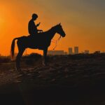 Sascha Burci Instagram – ⬇️GUARDA il mio carosello pazzerello a Dubai 🇦🇪:
1. Io con la mia Gang 👊🏻
2. Io che consolo un cavallo dopo che gli ho detto che tanto tempo fa mangiavo i suoi simili..
3. Foto di Famiglia 💖
4. Un gattone troppo affettuoso.
5. Il primo selfie risale a 200.000 anni fa, guarda!
6. Quando mi sveglio Van Gogh 🎨
7. La mia prima “””opera d’arte”””
8. La mia ombra è più bella di me.
9. “Wow” cit.
10. I’m a street photographer! 📸 Dubai –  دبى