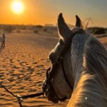 Sascha Burci Instagram – ⬇️GUARDA il mio carosello pazzerello a Dubai 🇦🇪:
1. Io con la mia Gang 👊🏻
2. Io che consolo un cavallo dopo che gli ho detto che tanto tempo fa mangiavo i suoi simili..
3. Foto di Famiglia 💖
4. Un gattone troppo affettuoso.
5. Il primo selfie risale a 200.000 anni fa, guarda!
6. Quando mi sveglio Van Gogh 🎨
7. La mia prima “””opera d’arte”””
8. La mia ombra è più bella di me.
9. “Wow” cit.
10. I’m a street photographer! 📸 Dubai –  دبى