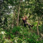 Sascha Burci Instagram - 🇮🇹: Finalmente sono tornato a casa nel mio habitat naturale🐒 Da domani inizia il corso di con Tarzan, vi tengo aggiornati! 🇬🇧: I am finally back home in my natural habitat🐒. Tomorrow starts the course with Tarzan, I'll keep you updated! Isla Margarita Venezuela